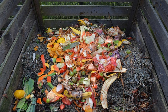 How to start a compost bin with the right materials